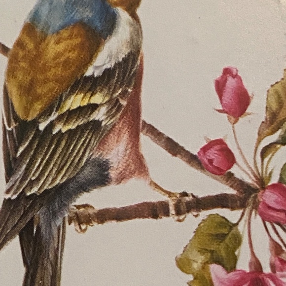 Vintage English cork bottom coaster with a bird theme, 12 pcs - Picture 15 of 16